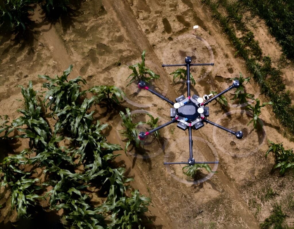 Artificial intelligence shows how crops develop in the field: Software can simulate future growth based on a single initial image