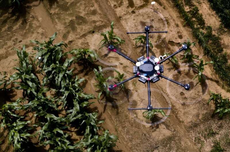 Artificial intelligence shows how the crops develop in the field